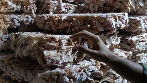 ضبط 70 طن لحوم ودواجن فاسدة في الجيزة