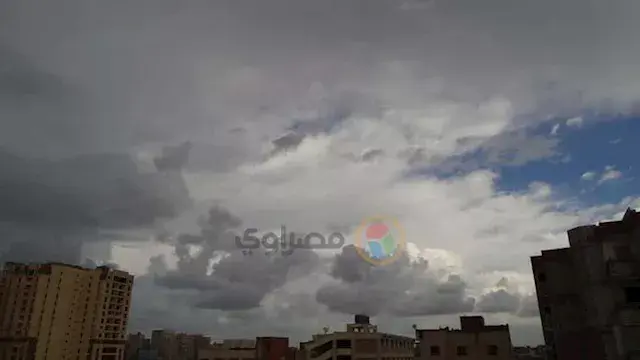 خلال ساعات.. الأرصاد تكشف: سحب ركامية وأمطار متفاوتة الشدة في السلوم