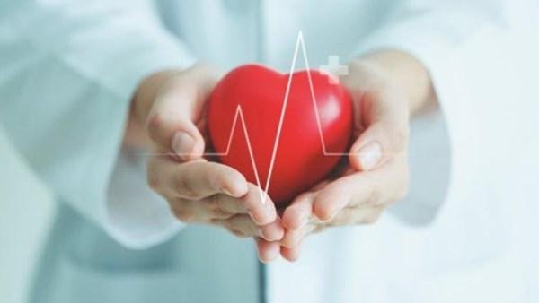 احرص عليها .. 3 أطعمة تحمي القلب