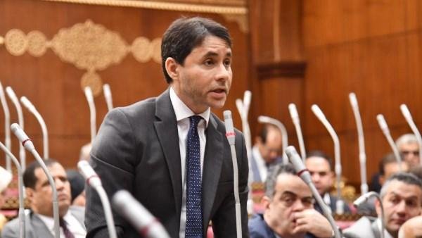 وكيل خارجية الشيوخ: تضامن الشعب المصري مع السعودية يجسد عمق العلاقات الأخوية