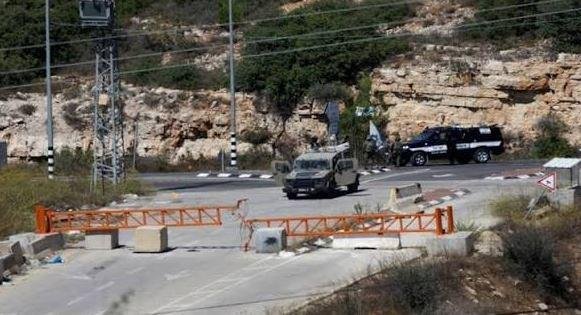 تجريف الأرض والشجر.. نعلين الفلسطينية تكتوي بنار التوسع الاستيطاني الإسرائيلي