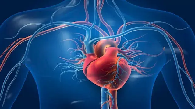 دراسة: تصلب الشرايين قد يبدأ ف...