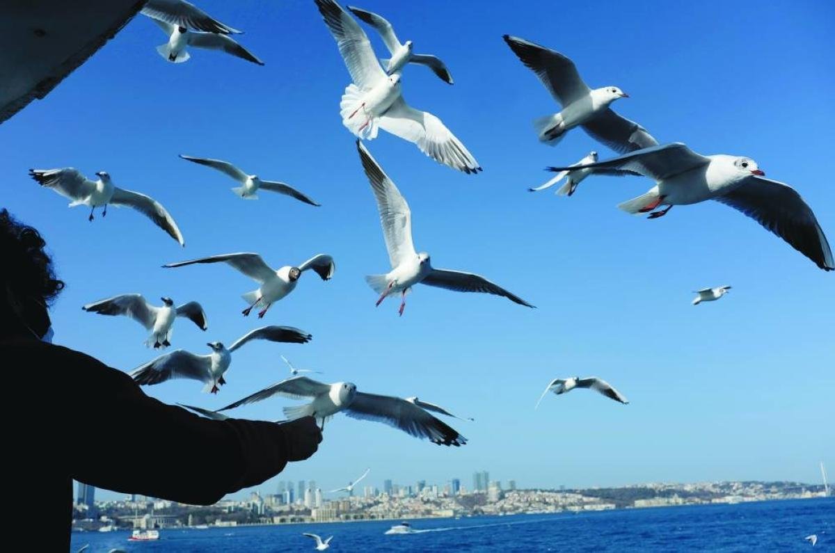 Turkiye's second-quarter econo...
