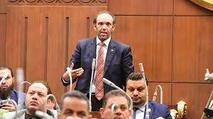 النائب محمد فريد يتقدم بطلب إحاطة بشأن تأخر إصدار اللائحة التنفيذية لقانون رعاية حقوق المسنين
