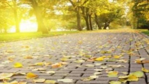 حرارة وشبورة وأمطار.. الأرصاد تحذر من طقس أول أيام الخريف
