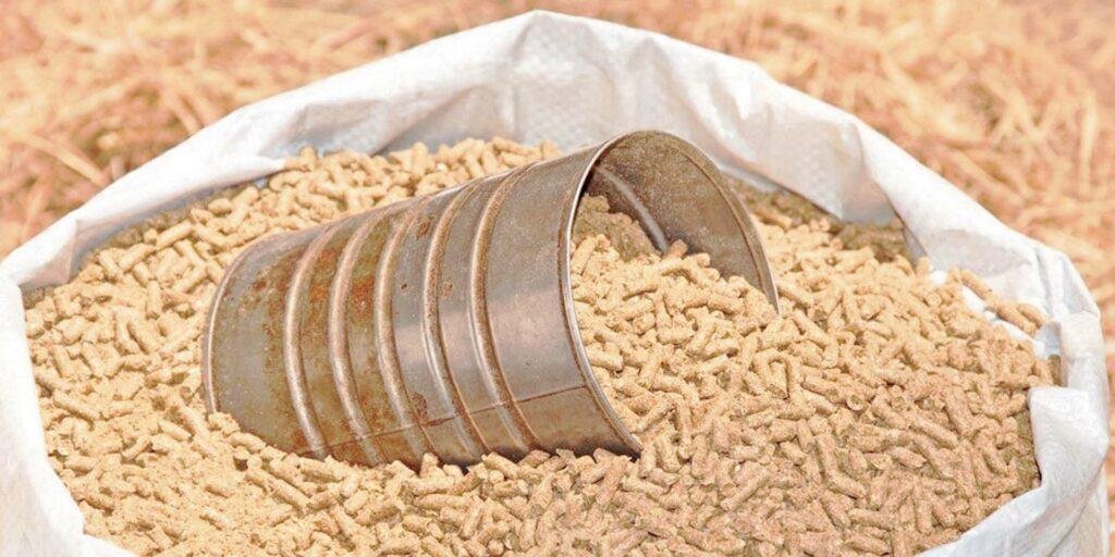 33% زيادة في أسعار الأعلاف بالسوق المحلية بسبب اضطرابات البحر الأسود