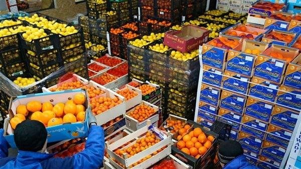 متحدث الزراعة: الصادرات الزراعية تجاوزت 7.1 مليون طن.. وتساهم بنسبة كبيرة جدا في الدخل القومي