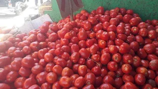 ارتفاع مرتقب لأسعار الطماطم.....