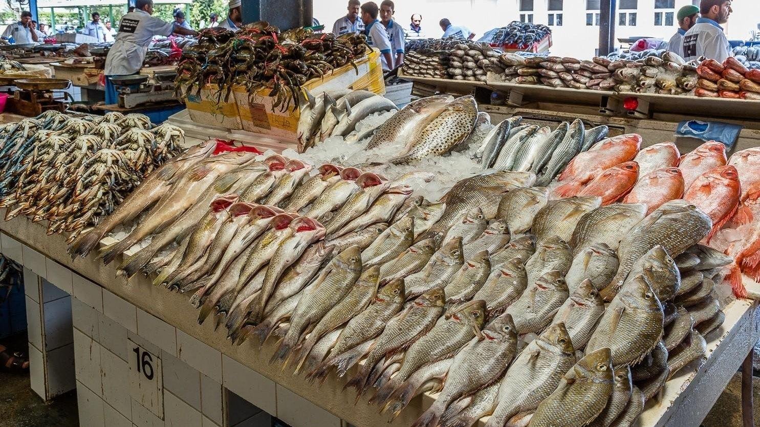 البلطي بكام النهاردة؟.. مفاجأة في سعر الكيلو والجمبري تراجع 24 جنيها