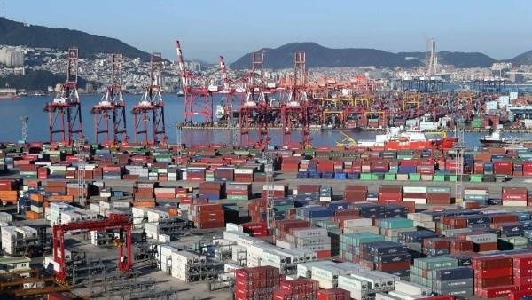 قفزة تاريخية في صادرات الغذاء المصرية.. 5.128 مليار دولار خلال 8 شهور بنمو 10.8%