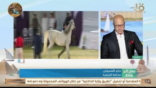 حازم الأشموني: مهرجان الخيول العربية يجسد عراقة التراث ويعزز السياحة بالشرقية