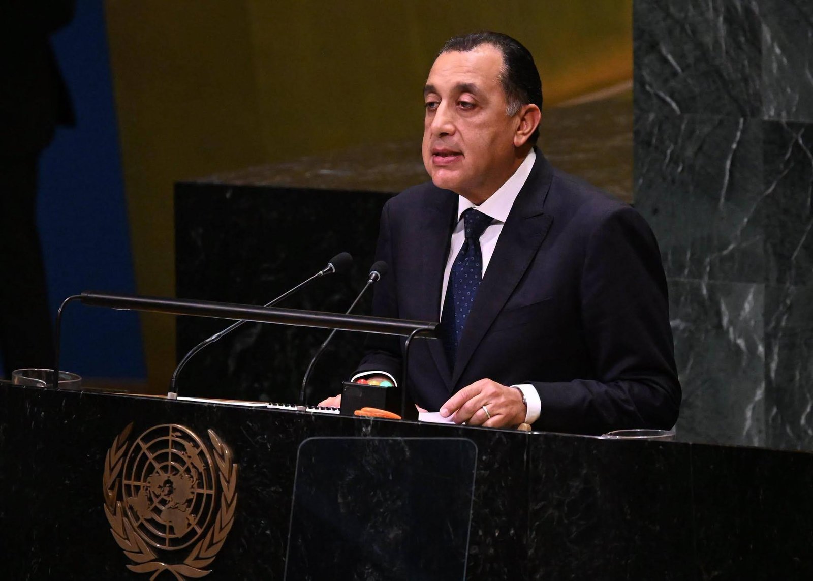 رئيس الوزراء: مصر تضع خبراتها وقدراتها لخدمة إصلاح النظام الدولي