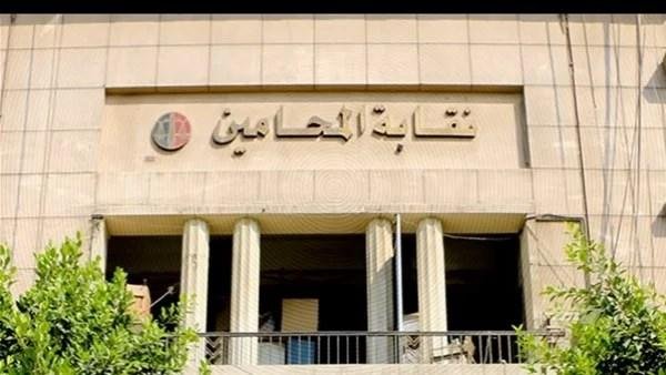 الرقمنة في المحاكم.. تحديات تواجه المحامين قبل تطبيق المنظومة الجديدة| فيديو