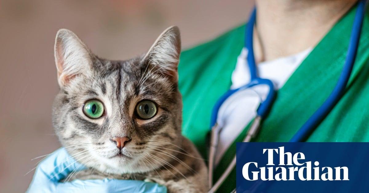 Pet owners at risk of being ri...