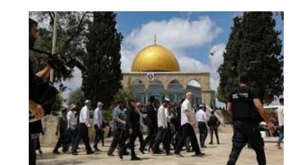 86 مستوطنا يقتحمون باحات الأقصى و الاحتلال يعتقل 6 فلسطينيين من مدن الضفة