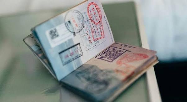 إدارة ترامب ألغت أكثر من 300 ألف تأشيرة دخول إلى ​الولايات المتحدة منذ بدء ولايته الثانية