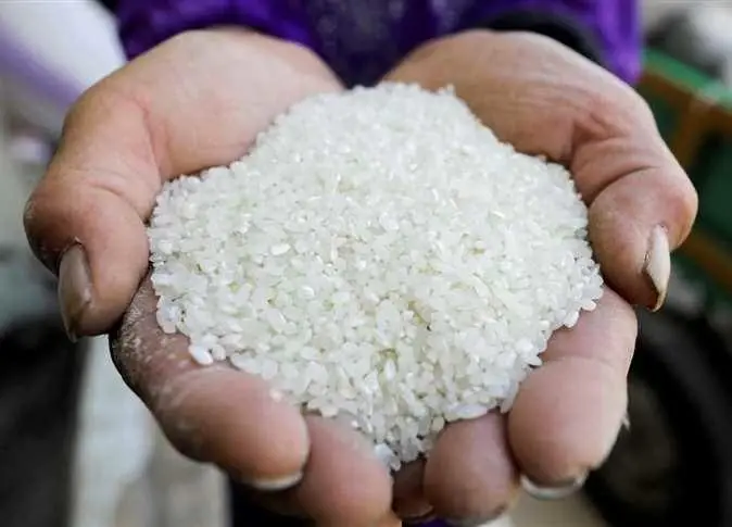 طن الشعير اليوم.. سعر الأرز والسلع الغذائية في أسواق الشرقية اليوم الأربعاء 7 أكتوبر 2026