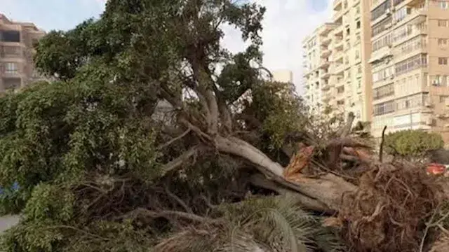 النيابة العامة تأمر باتخاذ إجر...