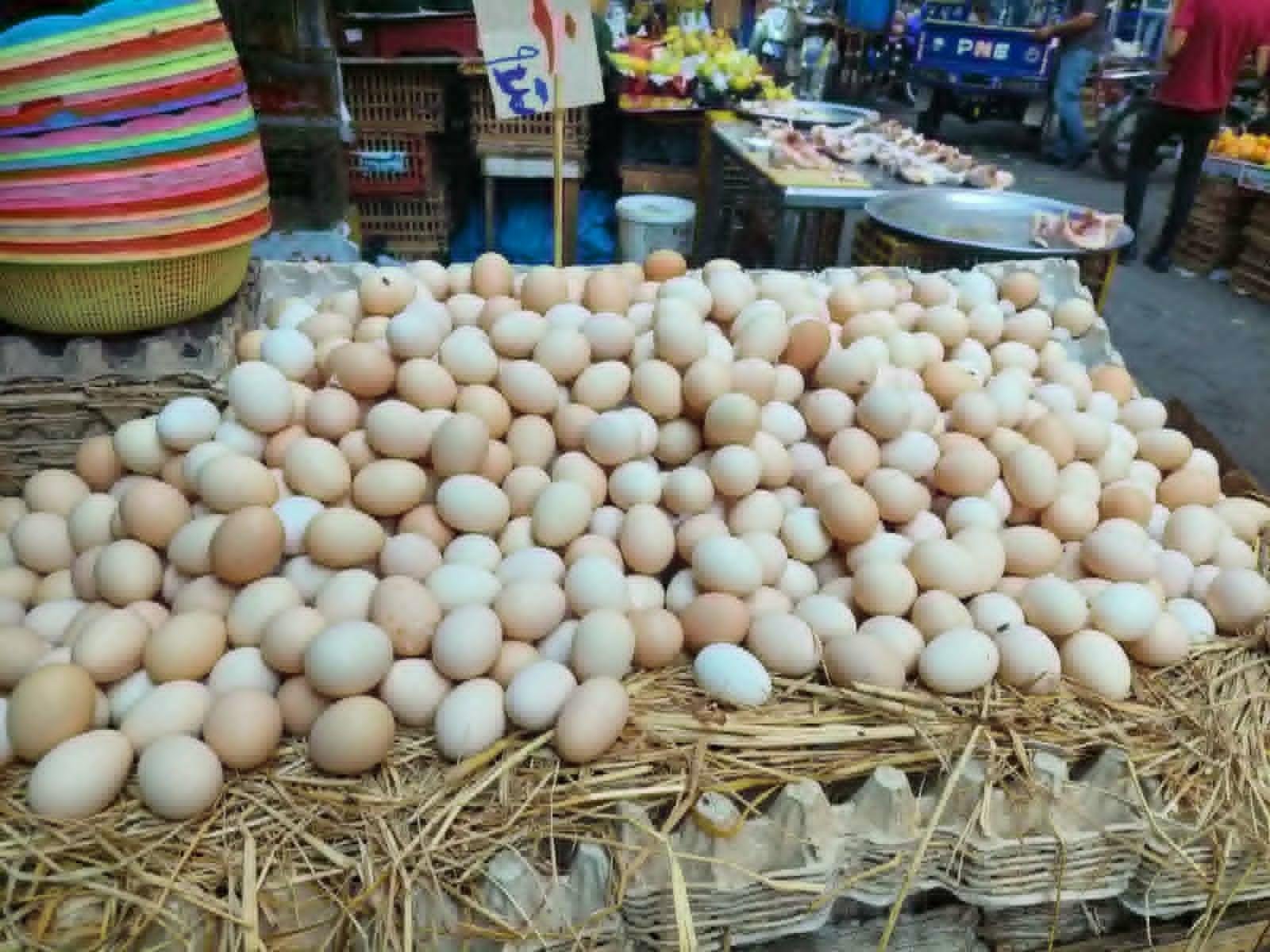 شعبة الدواجن: 115 جنيها السعر العادل لكرتونة البيض.. وانخفاض الأسعار تسبب في خروج صغار المربين
