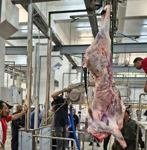التنمية المحلية والبيئة تعلن ا...