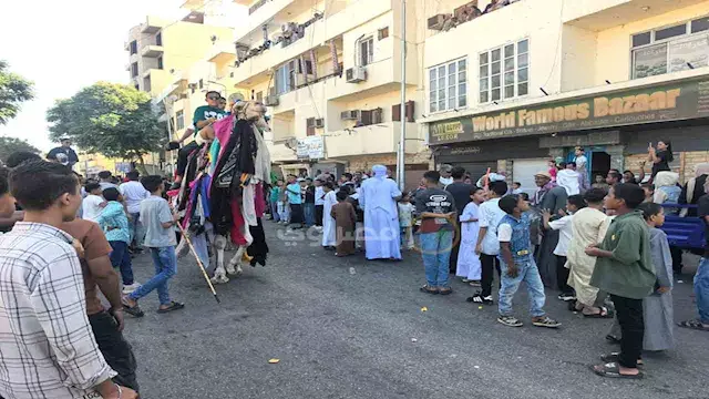 بالجمال والعصي.. الآلاف يحتفلو...