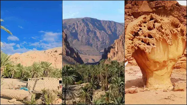 أسرار واحة "عين خضرة" بنويبع بين المياه العذبة والنخيل والجبال الشاهقة - صور