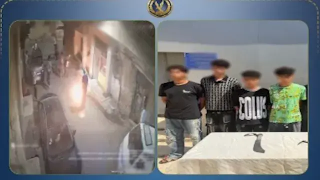 "رفضوا خطوبته أحدهم".. ضبط 4 أشخاص هددوا أسرة بالأسلحة وألقوا مولوتوف في البساتين
