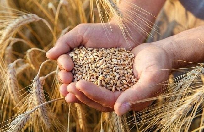 تصاعد التوترات بين روسيا وأكرا...
