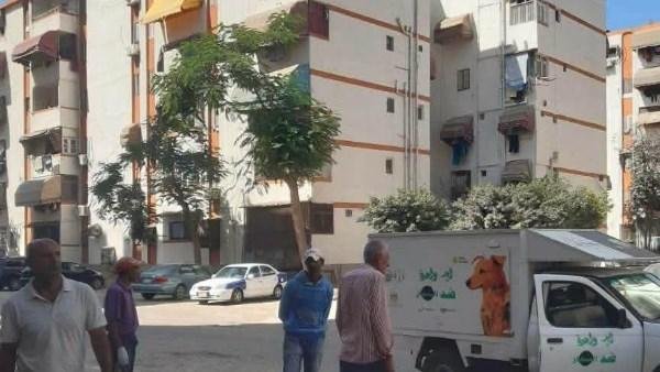 بيطري بورسعيد تحيل طبيبة وفني يعملان بجمع الكلاب الضالة للتحقيق