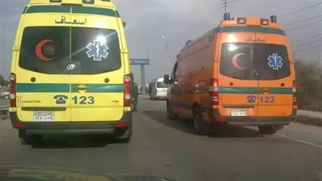 مصرع 7 أشخاص بينهم أب وأبناءه إثر حادث تصادم في الدقهلية- تفاصيل