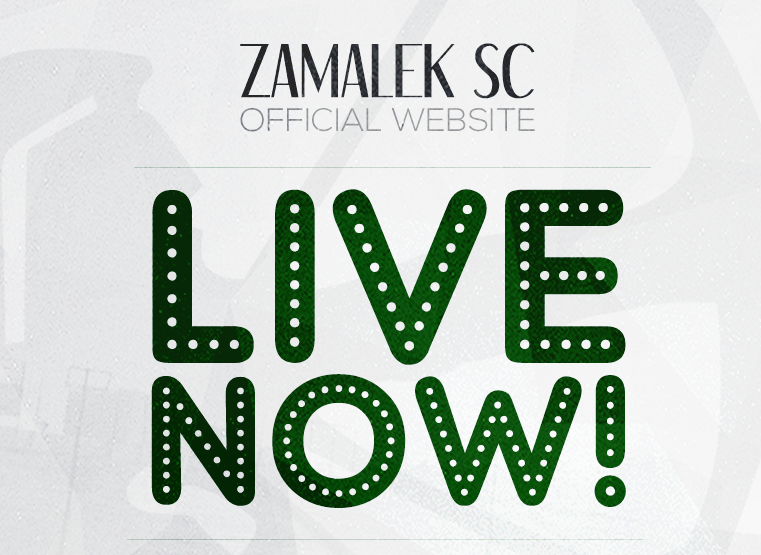 مقال راى محمود محى الدين